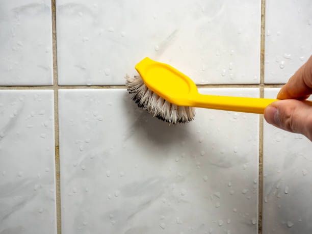 Best Commercial Mold Remediation in Sur Hill, GA