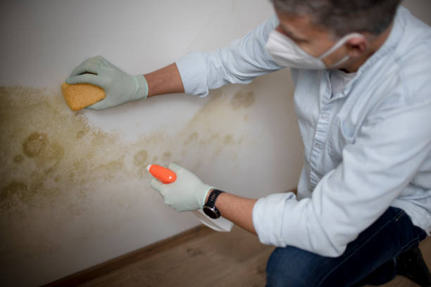 Sugar Hill, GA Mold Remediation Company